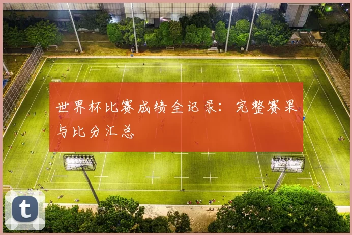 世界杯比赛成绩全记录：完整赛果与比分汇总