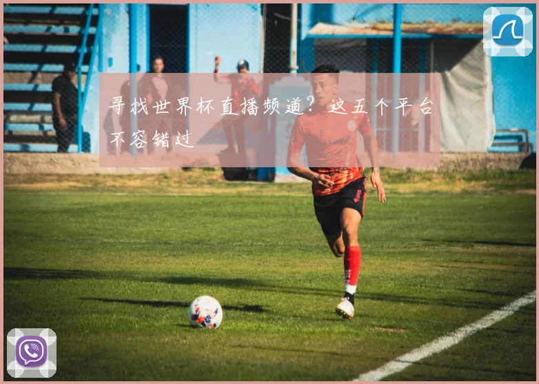 寻找世界杯直播频道？这五个平台不容错过