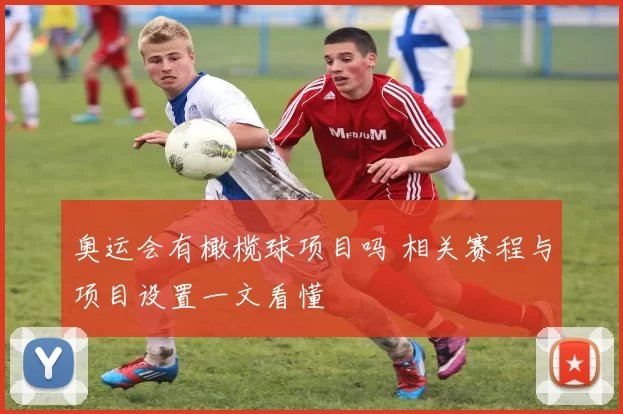 奥运会有橄榄球项目吗 相关赛程与项目设置一文看懂