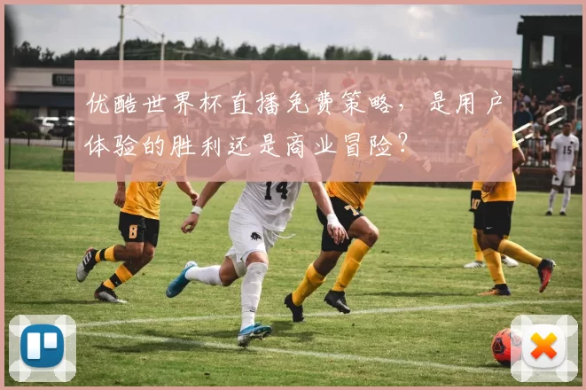 优酷世界杯直播免费策略,是用户体验的胜利还是商业冒险?