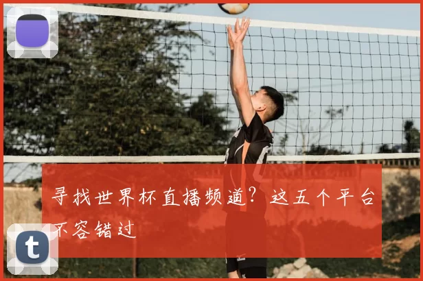 寻找世界杯直播频道?这五个平台不容错过