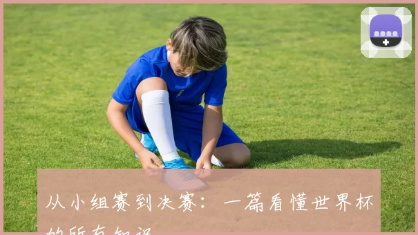 从小组赛到决赛：一篇看懂世界杯的所有知识