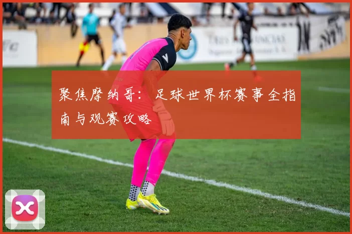 聚焦摩纳哥：足球世界杯赛事全指南与观赛攻略